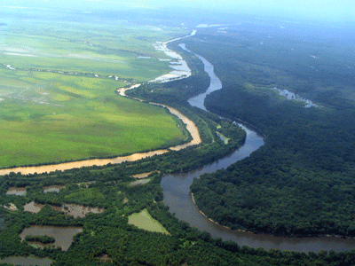 Destroying Levees in Louisiana Image